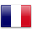 flag to represent language code